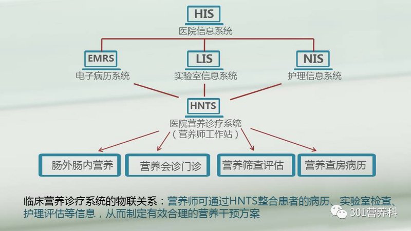 营养保健品:提升健康与活力的科学选择